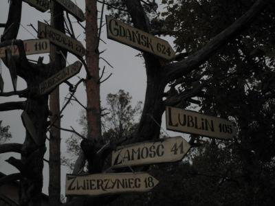pa250264.jpg